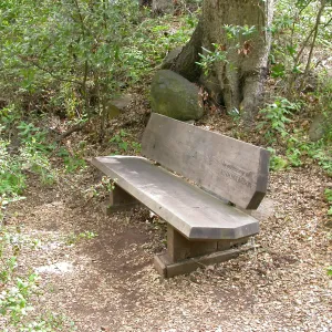 Ruth Holbrook Bench K 32 (Bench #49)