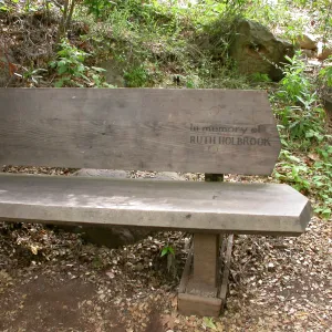 Ruth Holbrook Bench K 32 (Bench #49)
