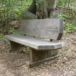 Ruth Holbrook Bench K 32 (Bench #49)