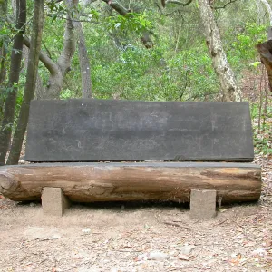 Ford Family Bench L31 or M 30 (Bench #48)