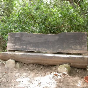 wood bench, SBBG, 'No Smoking' wood sign