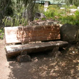 James F. Mastoris Bench, I 30