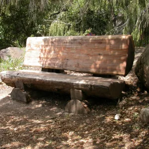 James F. Mastoris Bench, I 30