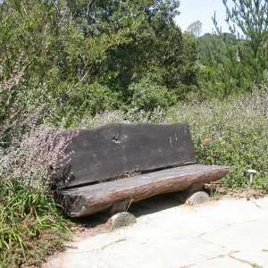 Webb? Bench