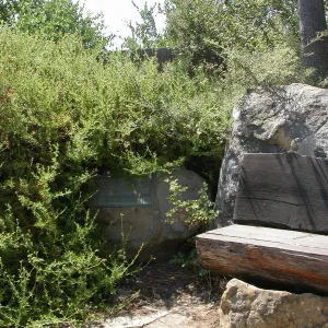 Porter Bench (Bench #64)