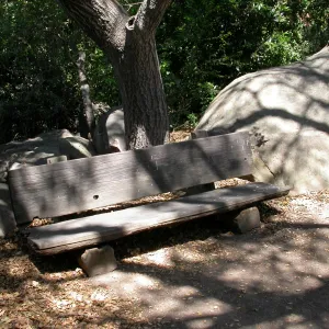 Webb Bench