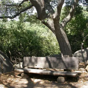 Webb Bench