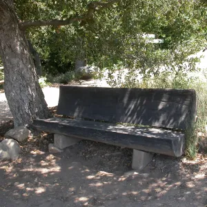 Gross Bench (Bench #15) ?