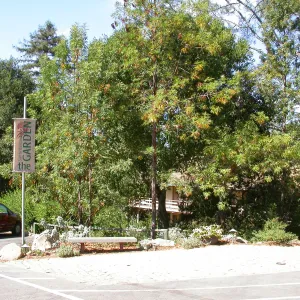 Silipo Bench at parking lot (Bench #21)