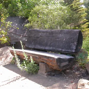 Jones Bench (Bench #51)