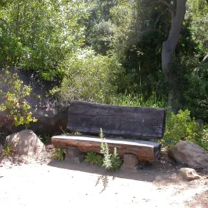Jones Bench (Bench #51)