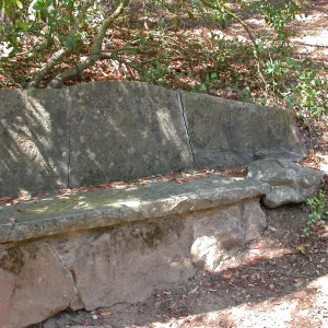 Kenward Bench (Bench #45)