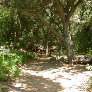 Lane Bench (Bench #36)