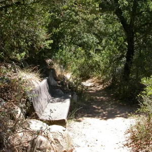 Hooper Bench (Bench #33)