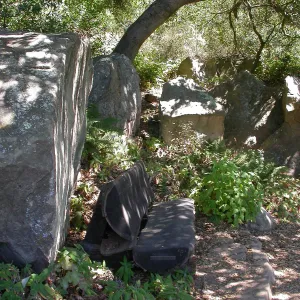 Haim Bench (Bench #32)