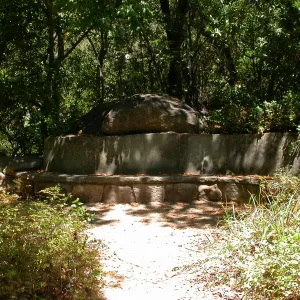 Campbell Bench (Bench #24)