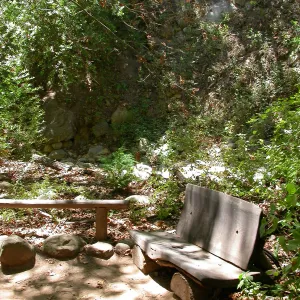 Bliss Bench (Bench #28)