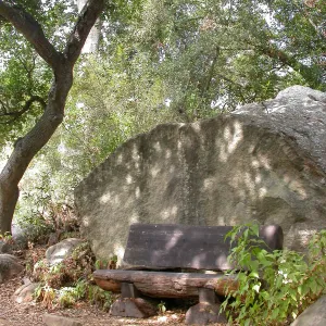 Haim Bench (Bench #32)