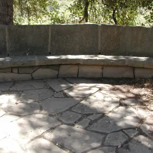 Palme Bench