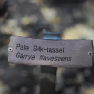 1x5 public information label, damaged signs and labels after the Jesusita Fire