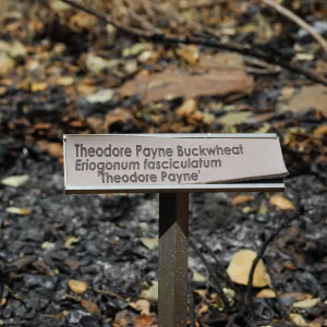 1x5 public information label, damaged signs and labels after the Jesusita Fire
