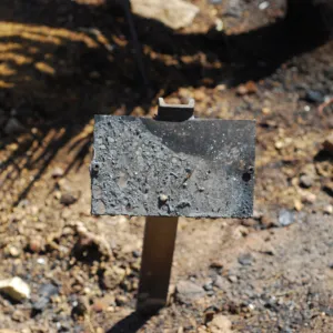 3x5 public information label, damaged signs and labels after the Jesusita Fire