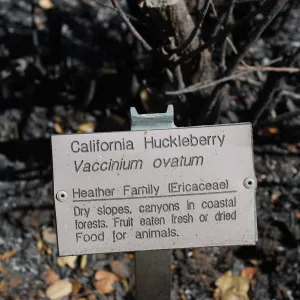 3x5 public information label, damaged signs and labels after the Jesusita Fire