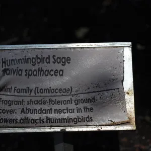 3x5 public information label, damaged signs and labels after the Jesusita Fire