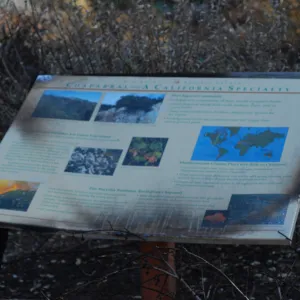 burned Chaparral interpretive sign after the Jesusita Fire