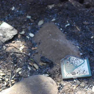 burned directional sign after the Jesusita Fire