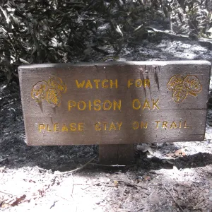 fire damaged sign after the Jesusita Fire