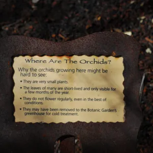 fire damaged sign after the Jesusita Fire