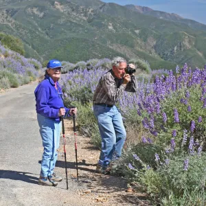 Avis Keedy and Bob Haller photographing lupines