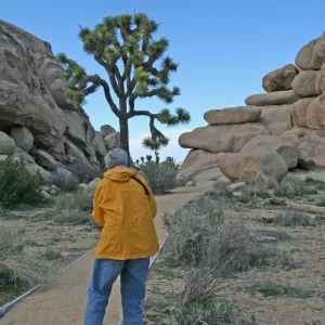 Bob Haller, Joshua Tree, SBBG field trip