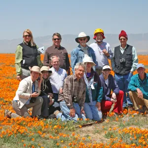 SBBG field trip, field of poppies, Antelope valley