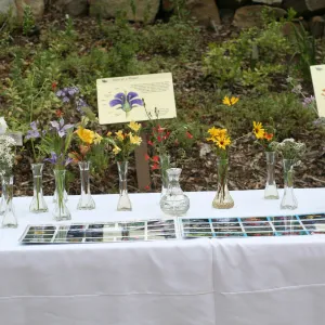 SBBG Bio Blitz, 2007