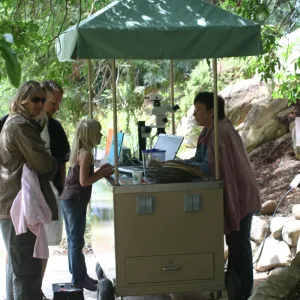 Discovery Garden cart, SBBG Bio Blitz, 2007