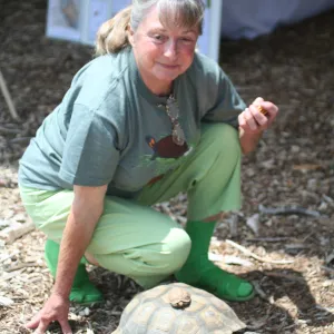 tortoise, BioBlitz