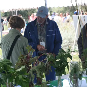 non-native plant identification, SBBG Bio Blitz, 2007