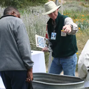 examining aquatic insects and pond life, SBBG Bio Blitz, 2007