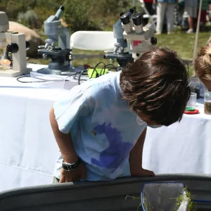 examining pond life, SBBG Bio Blitz, 2007