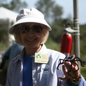 crafted rock spider, SBBG Bio Blitz, 2007