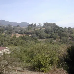 view of Tipton Ridge (RAWS site)