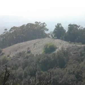 view of Tipton Ridge (RAWS site)