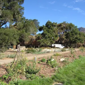 Meadow Terrace