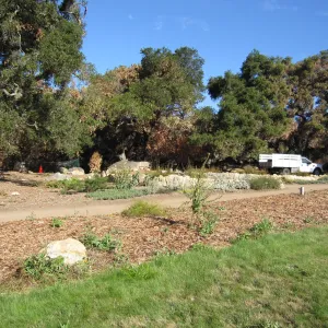Meadow Terrace