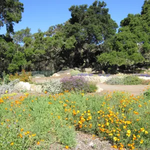 Meadow Terrace