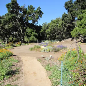 Meadow Terrace