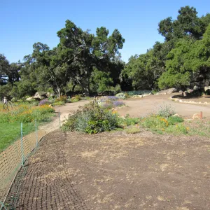 Meadow Terrace