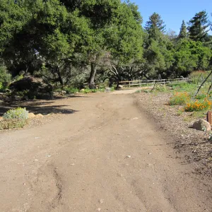 Meadow Terrace